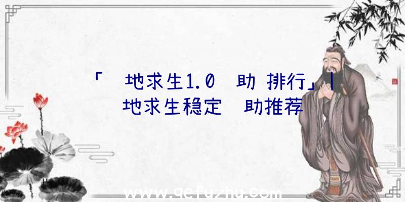 「绝地求生1.0辅助